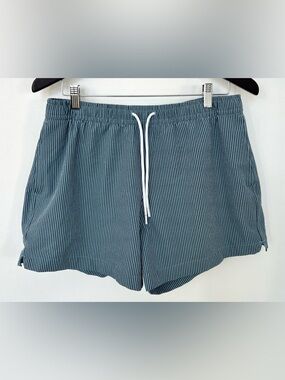 Abercrombie & Fitch Swim Trunks Mens M Blue Pin Stripe Lined Shorts
